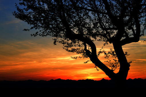 Tramonto. Il fascino del calar del sole.